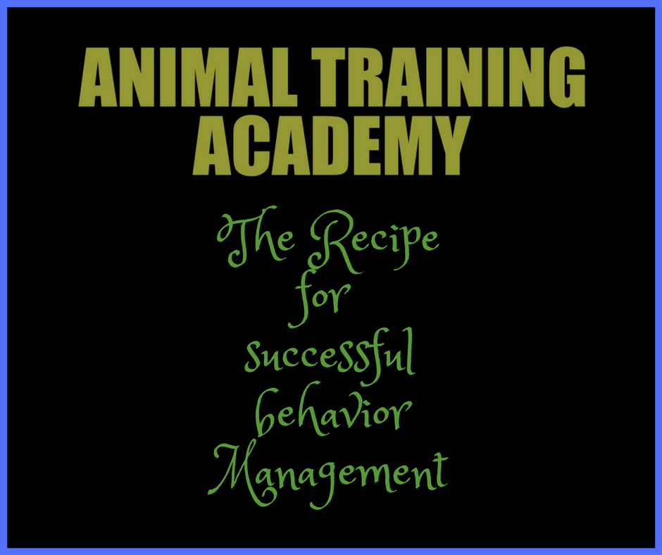 The RECIPE – 6 Ingredients for ethical & effective behavior management (Course)