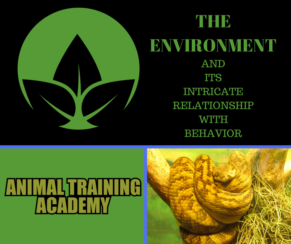 Getting Started With Behavior - Animal Training Academy