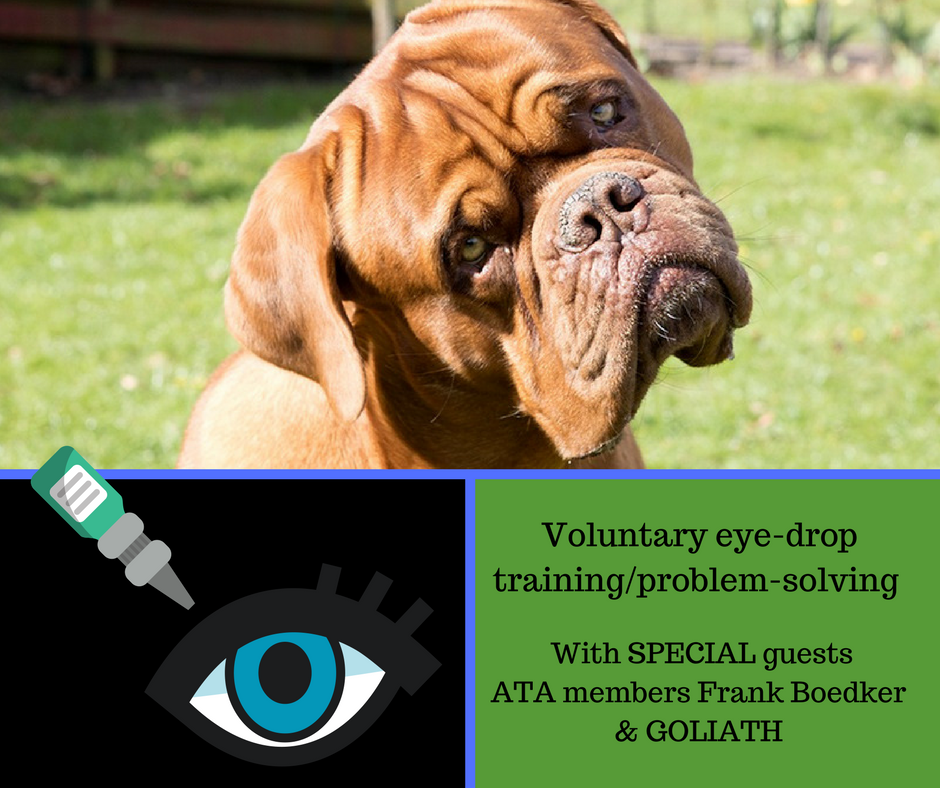 Voluntary eye drop training/problem solving (Web-class replay & mini-course)