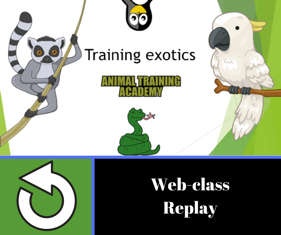 Training exotics [web-class done for Morten Egtvedt’s Canis instructors course]