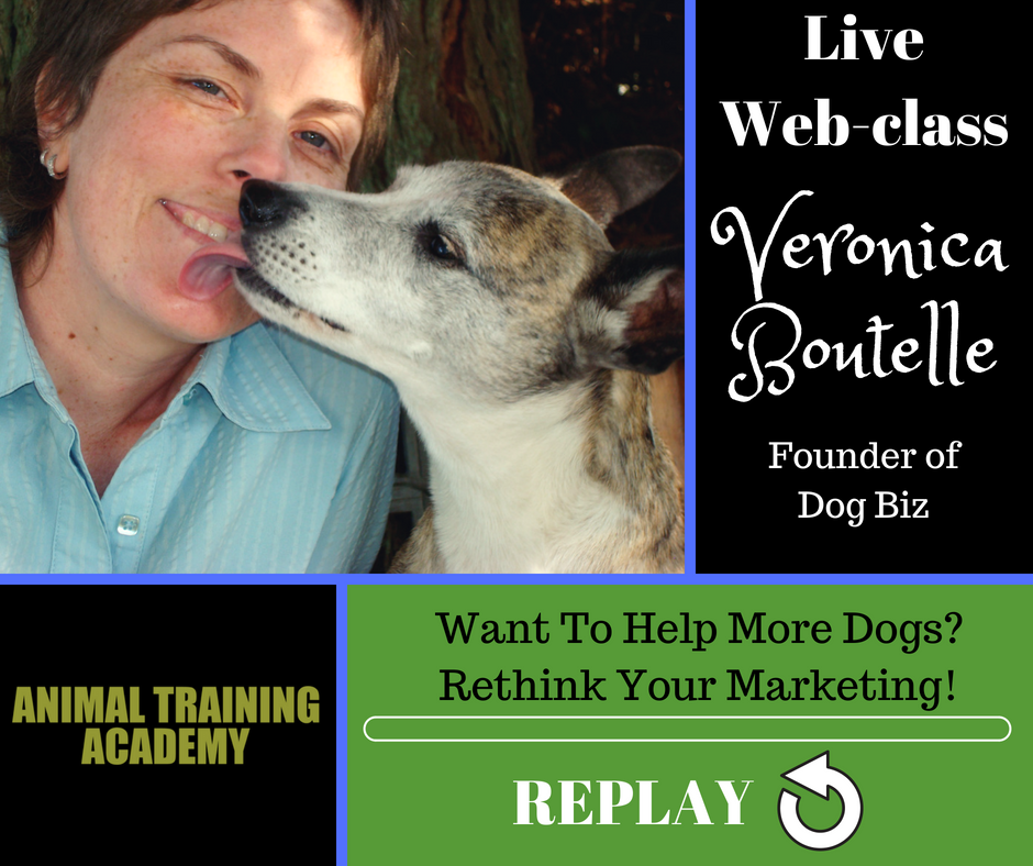 Want To Help More Dogs? Rethink Your Marketing! With special guest Veronica Boutelle from Dog Biz