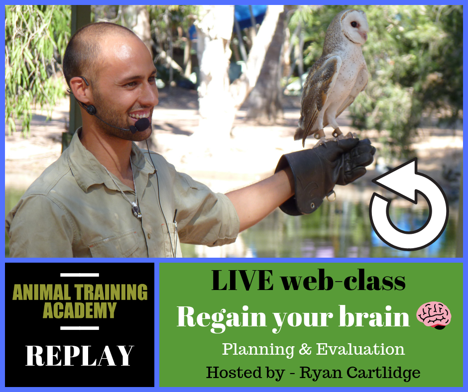 Regain your Brain – Planing & Evaluation [training plans]