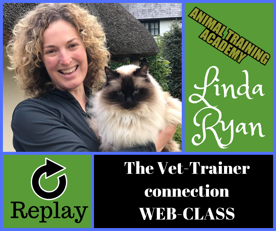 The vet-trainer connection with very special guest – Linda Ryan [LIVE web-class]