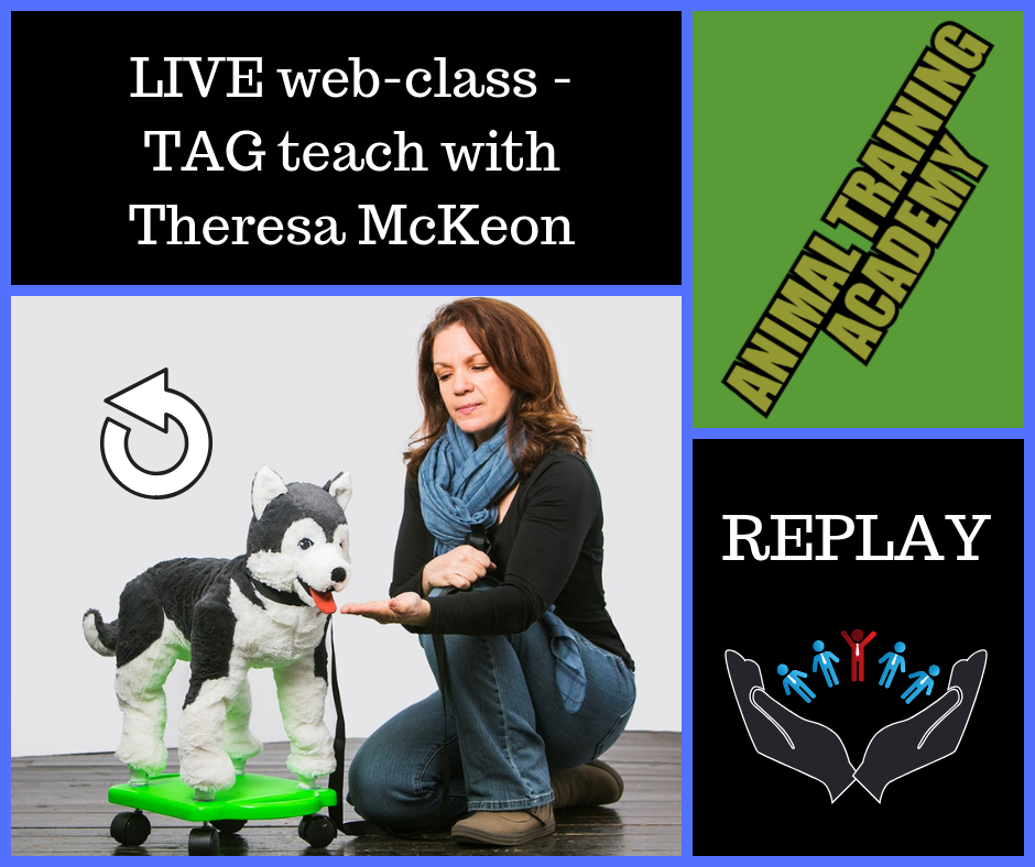 TAG Teach with Theresa McKeon