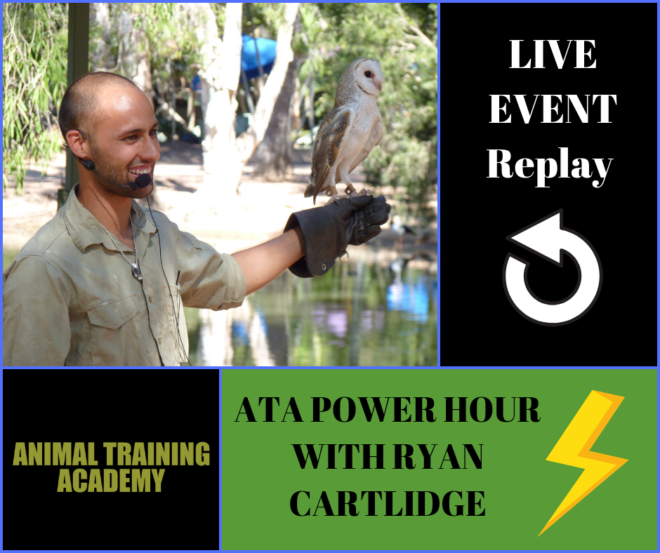 ATA power hour with Ryan Cartlidge – November 2018.