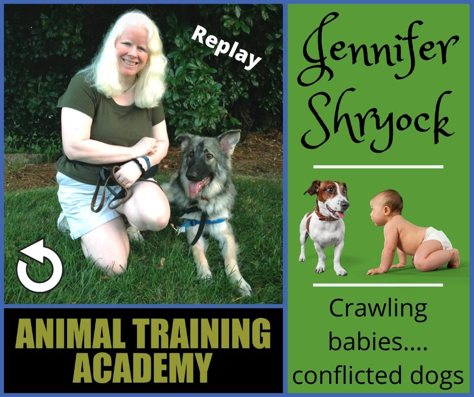 Jennifer Shryock – Crawling babies….conflicted dogs