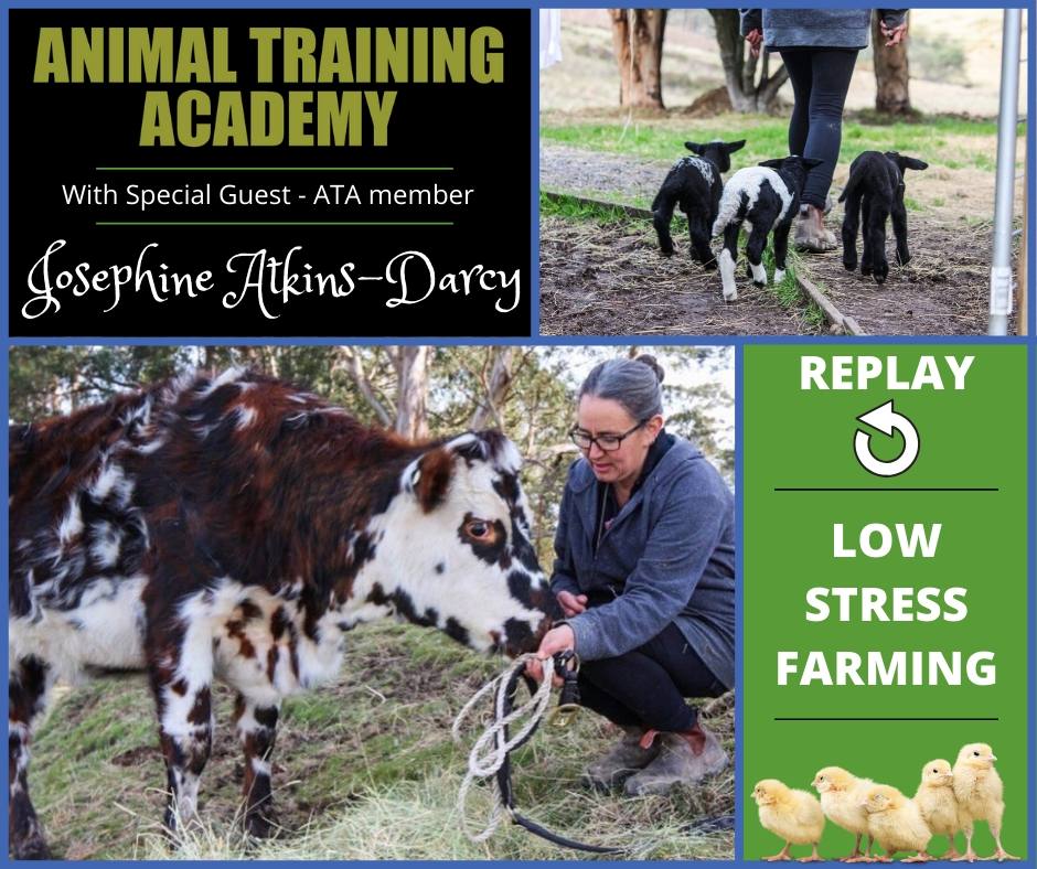 Low Stress Farming with very special guest ATA member Josephine Atkins-Darcy