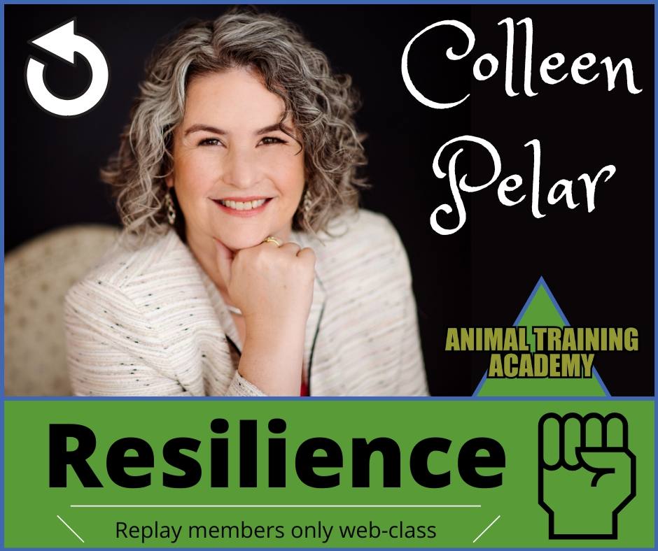 Resilience – For animal trainers & care professionals…