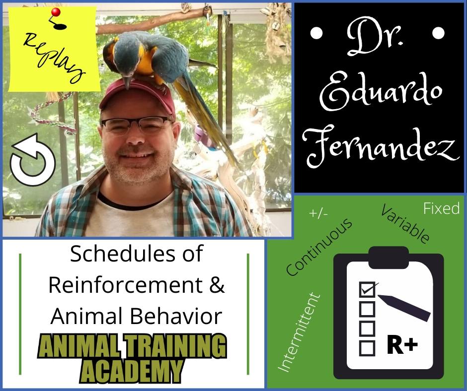 Schedules of Reinforcement and Animal Behavior – Dr. Eduardo Fernandez