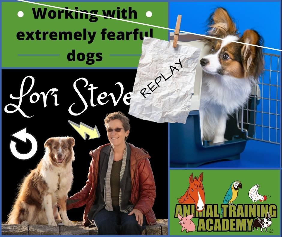 Working with extremely fearful dogs – Lori Stevens