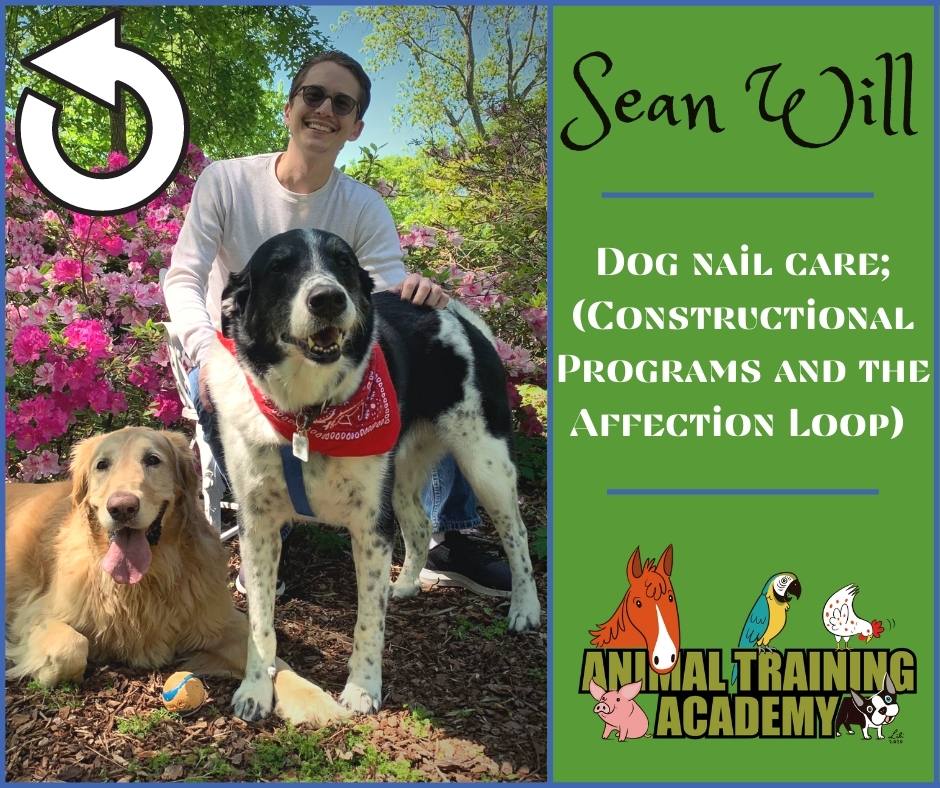 Dog nail care; (Constructional Programs and the Affection Loop) with Sean Will