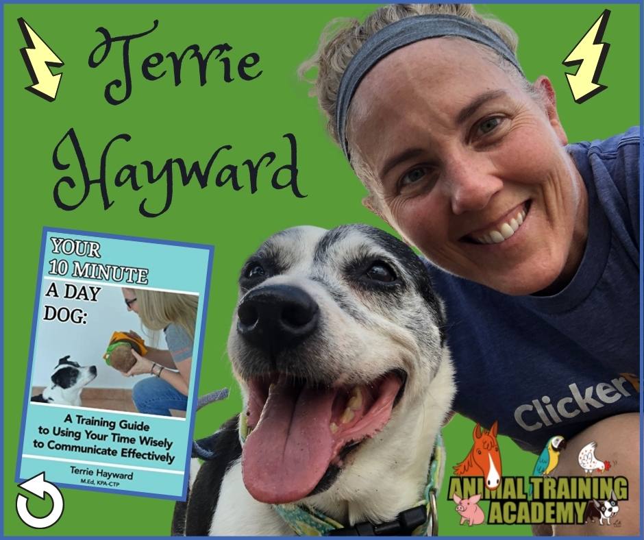 “Your 10 minute a day dog” … Terrie Hayward; KPA faculty member