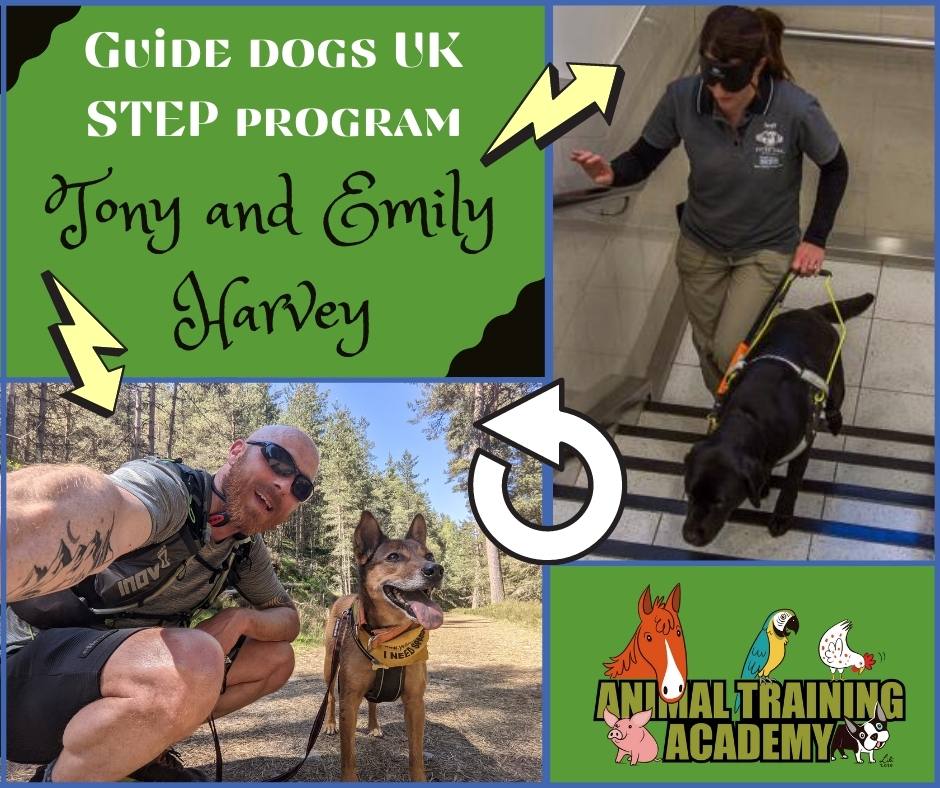 Guide dogs UK; The STEP program [Standardised Training for Excellent Partnerships]